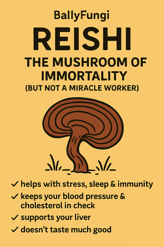 Reishi: The Mushroom of Immortality (and Chill) BallyFungi Adaptogen Series