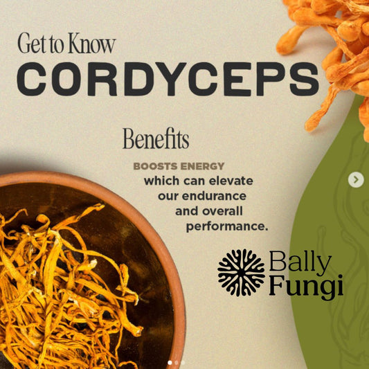 100g Cordyceps Militaris – A premium pack of whole dried Cordyceps fruiting body. Placed on a clean, earthy background with natural Cordyceps mushrooms, symbolizing endurance, focus, and peak performance.
