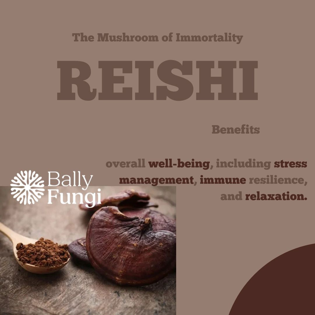 100g Reishi Mushroom – A premium pack of whole dried Reishi fruiting body. Placed on a clean, earthy background with natural Reishi mushrooms, symbolizing immunity, longevity, and holistic wellness.