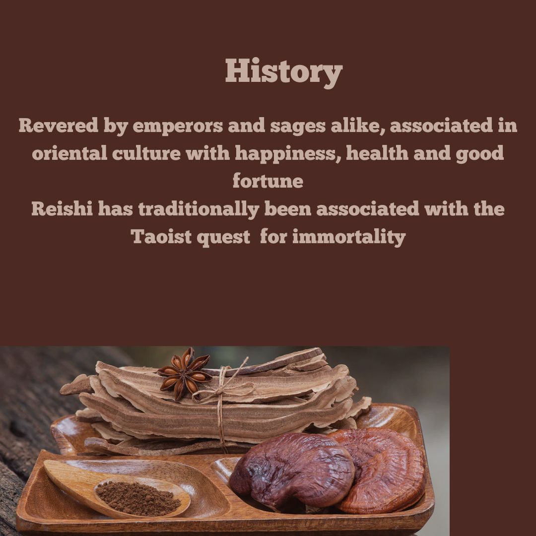 100g Reishi Mushroom – A premium pack of whole dried Reishi fruiting body. Placed on a clean, earthy background with natural Reishi mushrooms, symbolizing immunity, longevity, and holistic wellness.