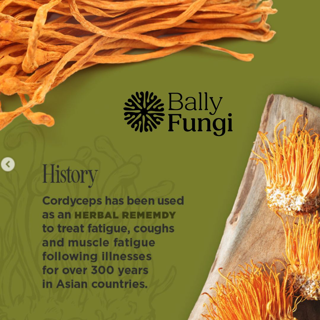 100g Cordyceps Militaris – A premium pack of whole dried Cordyceps fruiting body. Placed on a clean, earthy background with natural Cordyceps mushrooms, symbolizing endurance, focus, and peak performance.