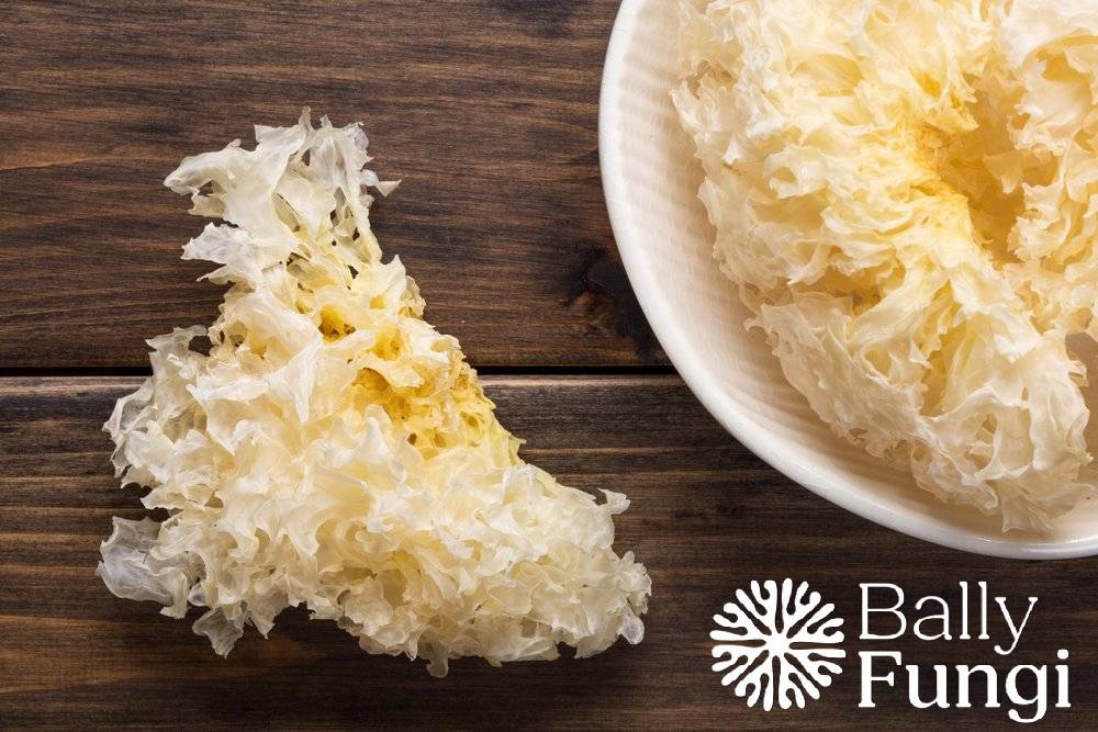 Dried White Mushroom – A premium pack of 100g Tremella Snow Fungus. Placed on a clean, natural background with soft lighting, symbolizing hydration, skin health, and natural beauty.