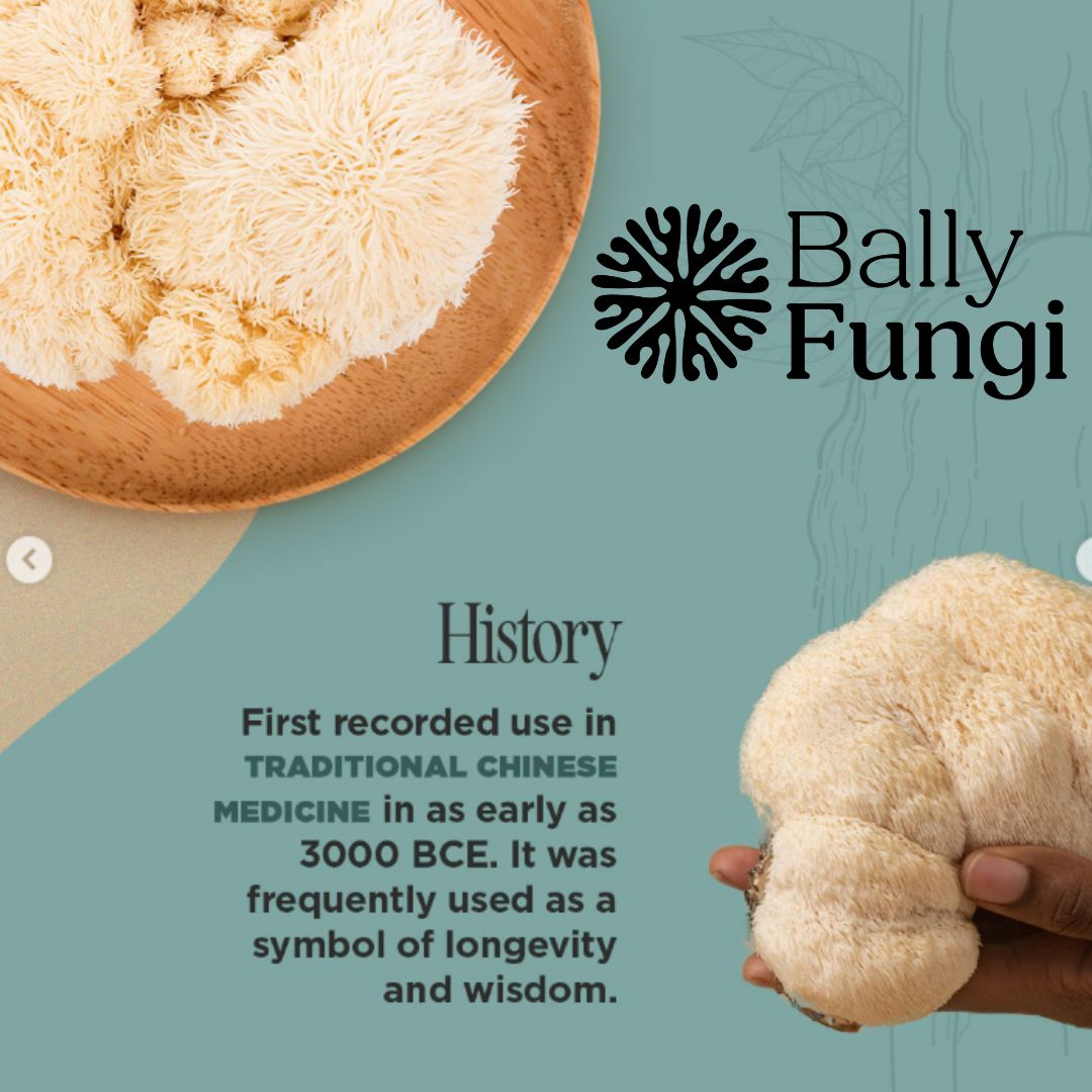 50g Dried Lion's Mane Mushroom – A premium pack of whole dried Lion's Mane. Placed on a clean, gourmet background with fresh Lion’s Mane mushrooms, symbolizing brain health, longevity, and culinary excellence.