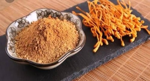 Dual-Form Mushroom Bundle – A premium 1kg selection of powdered & whole dried fruiting body mushrooms. Placed on a clean, natural background with fresh and powdered mushrooms, symbolizing versatility, quality, and holistic wellness.