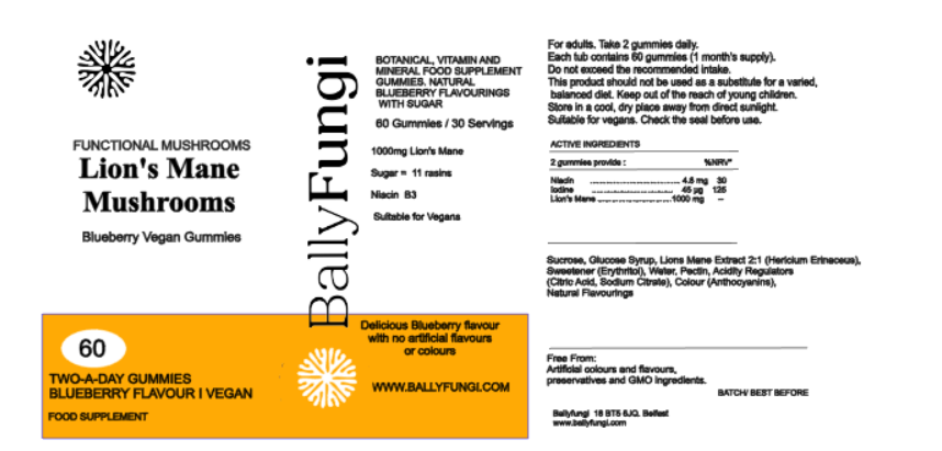 Bally Fungi Lion’s Mane Mushroom Gummies product label. Blueberry-flavored vegan supplement with 1000mg Lion’s Mane per serving.