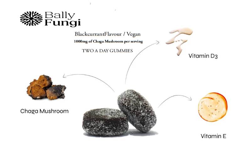 Chaga Mushroom Gummies – A premium jar of vegan immune-boosting gummies infused with 1000mg Chaga extract. Placed on a clean, earthy background with fresh Chaga mushrooms, symbolizing cellular protection, immunity, and antioxidant support.
