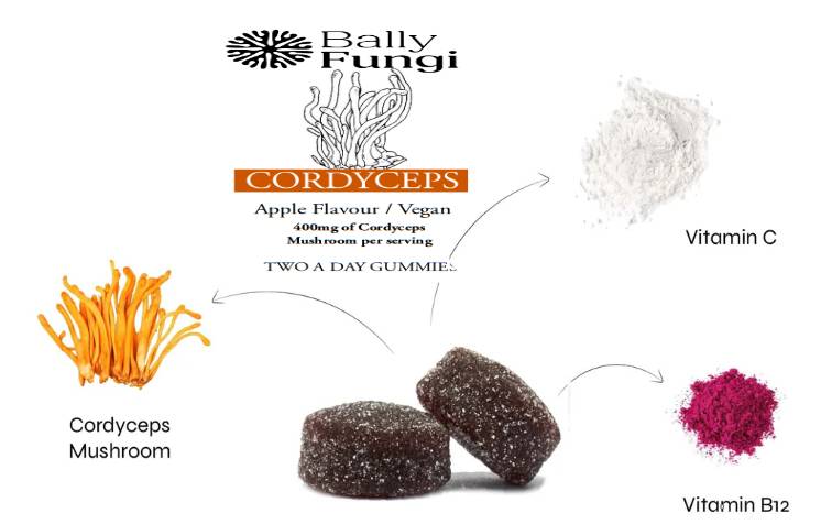 Cordyceps Mushroom Gummies – A premium jar of vegan energy-boosting gummies infused with 400mg Cordyceps extract, Vitamin B12 & C. Placed on a clean, dynamic background symbolizing stamina, endurance, and vitality