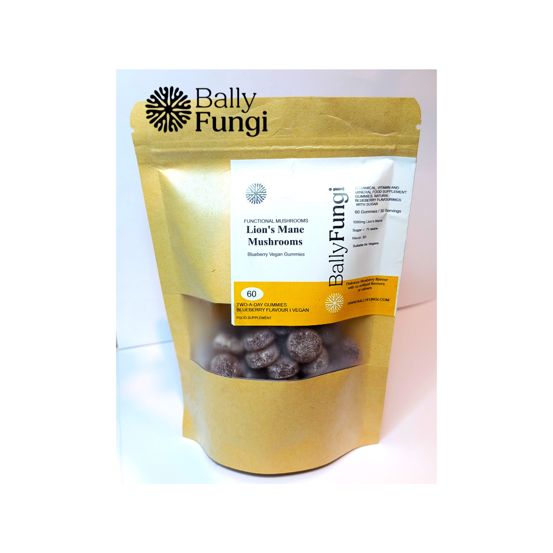 Bally Fungi Lion’s Mane Mushroom Gummies in a resealable pouch. Blueberry-flavored vegan supplement for brain boost and focus support.
