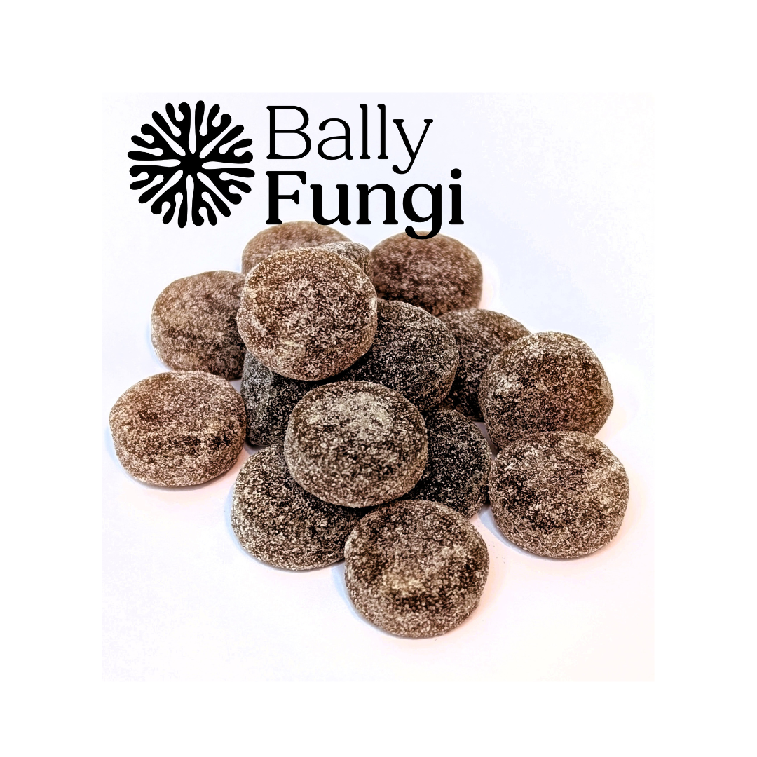 Blackcurrant Multi Mushroom Gummies with Lion’s Mane, Reishi, and Cordyceps, featuring a pile of sugar-coated gummies and Bally Fungi logo.