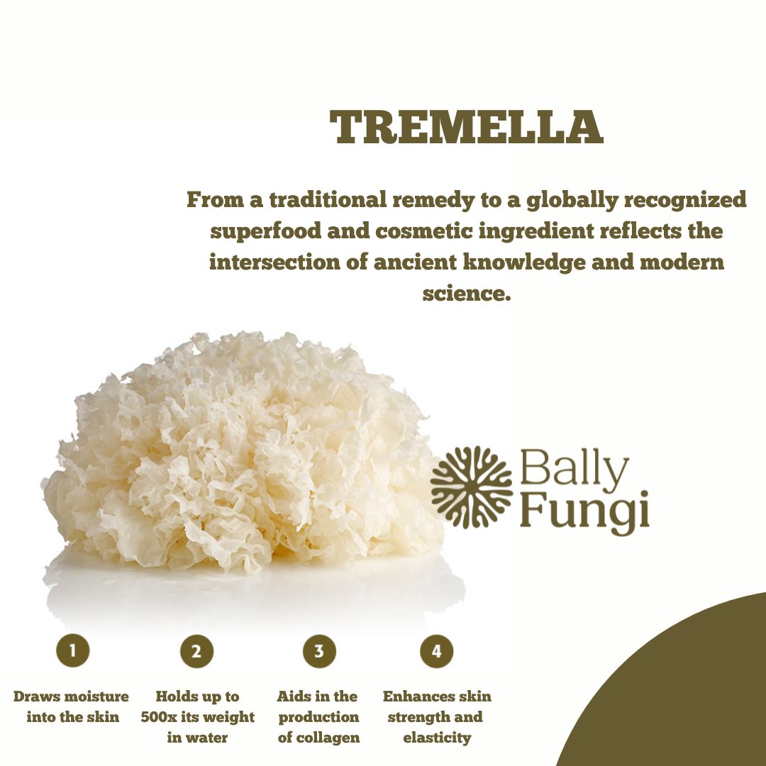 Dried White Mushroom – A premium pack of 100g Tremella Snow Fungus. Placed on a clean, natural background with soft lighting, symbolizing hydration, skin health, and natural beauty.