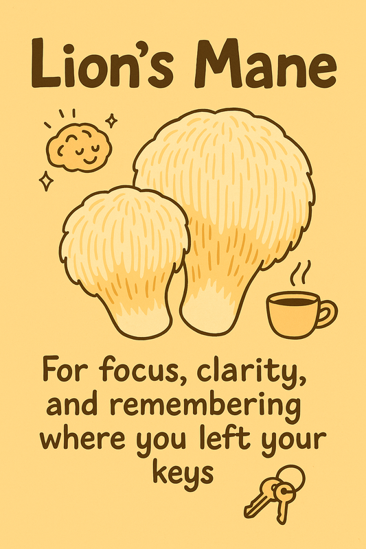 Lion’s Mane: The Mushroom for Focus (and Not Forgetting Your Keys)