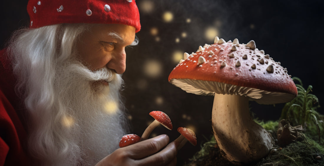 Amanita Muscaria. New Opportunities.