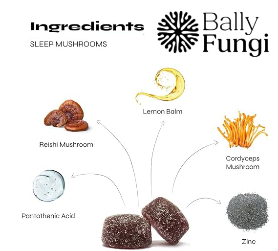 Sleep Mushroom Gummies – Vegan Nighttime Support with Reishi & Lemon Balm