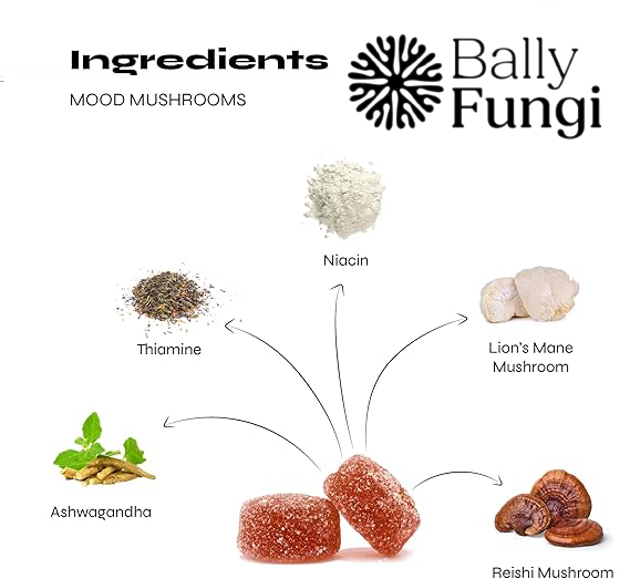 Mood Mushroom Gummies ingredients including Lion’s Mane, Reishi, Ashwagandha, Niacin, and Thiamine. A vegan supplement for stress relief and mental clarity.