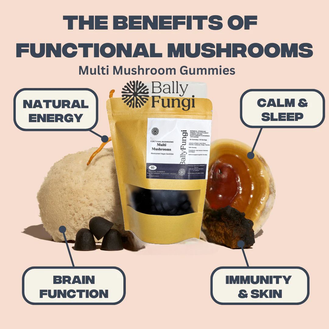 Blackcurrant Multi Mushroom Complex Gummies by Bally Fungi, featuring benefits like natural energy, brain function, calm sleep, and immunity support. Includes Lion's Mane, Reishi, and Cordyceps mushrooms.