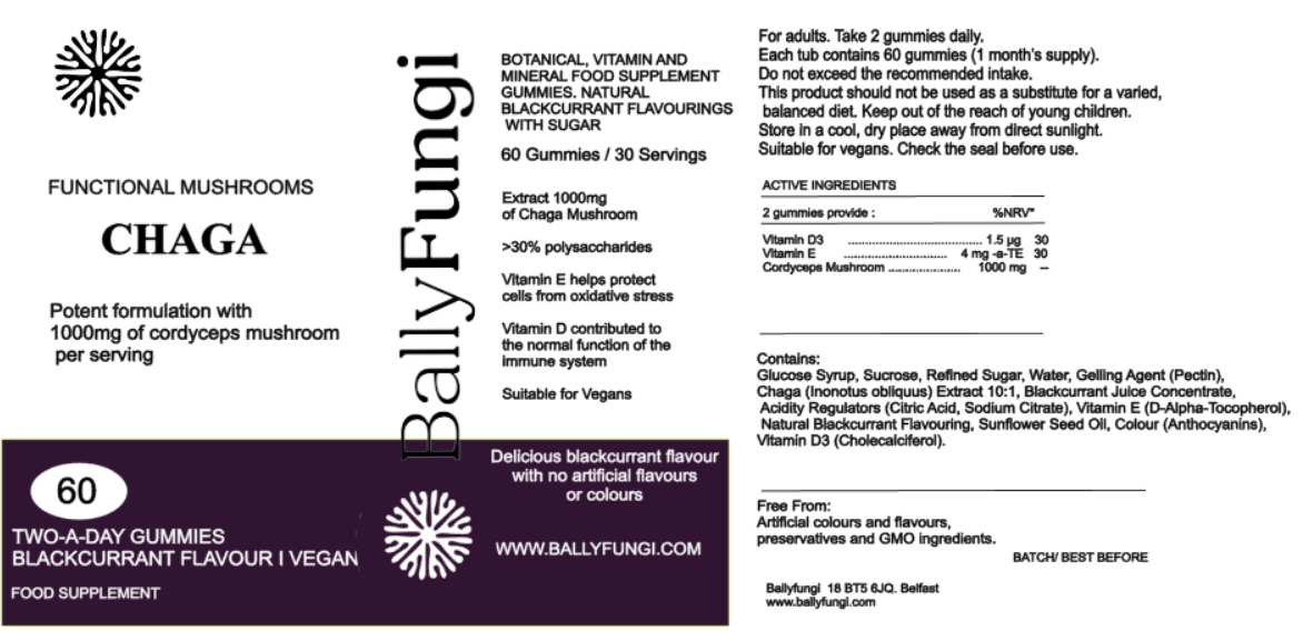 Label Description of Chaga Gummies