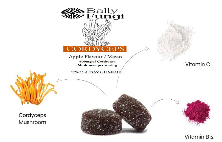 Cordyceps Mushroom Gummies – A premium jar of vegan energy-boosting gummies infused with 400mg Cordyceps extract, Vitamin B12 & C. Placed on a clean, dynamic background symbolizing stamina, endurance, and vitality