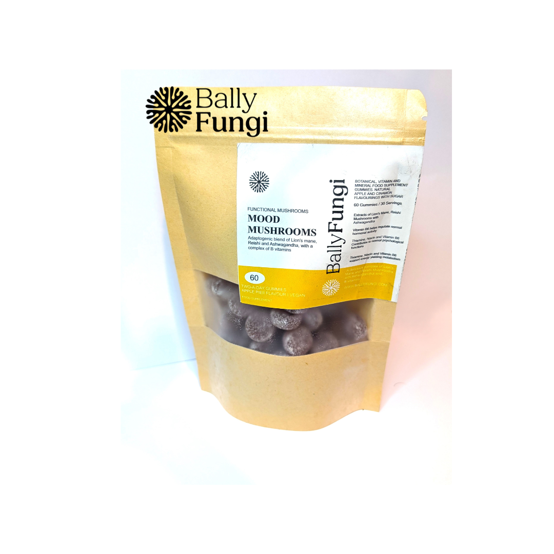 Mood Mushroom Gummies in a resealable pouch by Bally Fungi. Vegan supplement with Lion’s Mane, Reishi, and Ashwagandha for stress relief and cognitive support.